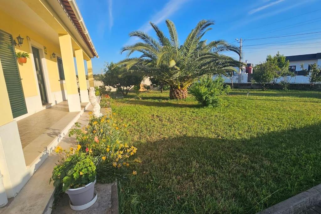 Quinta Marinhais Para Ferias No Ribatejo Экстерьер фото