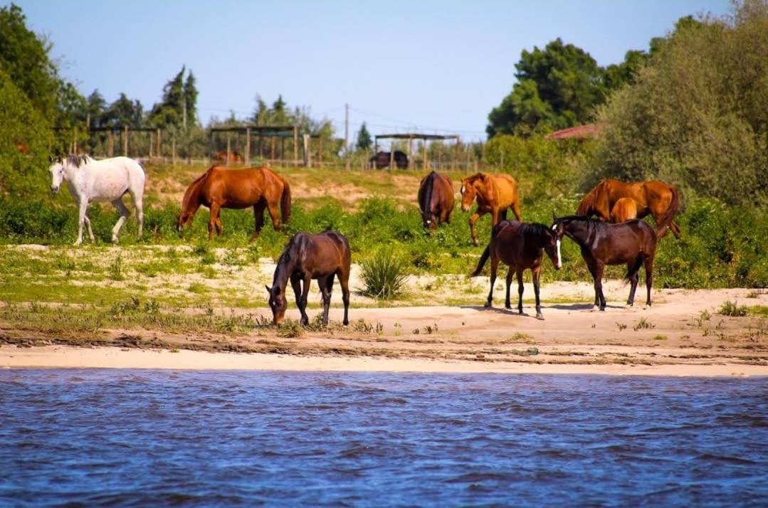 Quinta Marinhais Para Ferias No Ribatejo Экстерьер фото