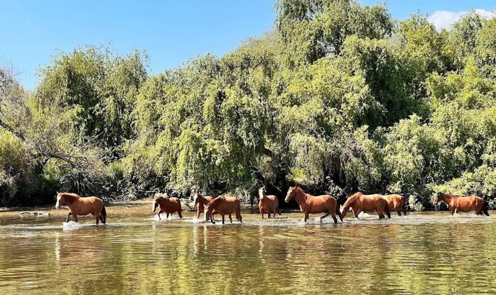 Quinta Marinhais Para Ferias No Ribatejo Экстерьер фото